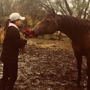 Meet your Posher, Paige